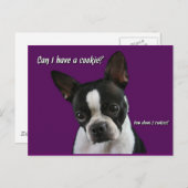 Carte Postale Boston Terrier : Cookie s'il vous plaît ? (Devant / Derrière)