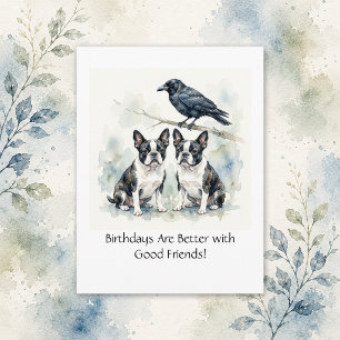 Carte Postale Boston Terrier / Corbeau Joyeux Anniversaire Entre
