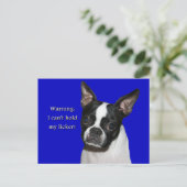 Carte Postale Boston Terrier : Je ne peux pas tenir son licker (Debout devant)