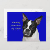 Carte Postale Boston Terrier : Je ne peux pas tenir son licker (Devant / Derrière)