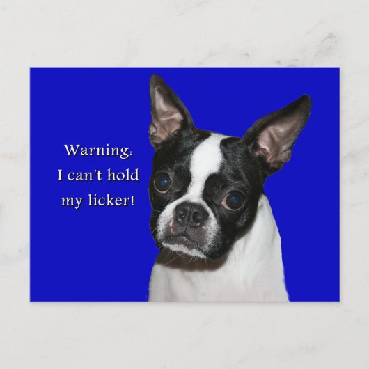 Carte Postale Boston Terrier : Je ne peux pas tenir son licker (Devant)