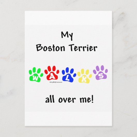 Carte Postale Boston Terrier Marche Sur Moi (Devant)
