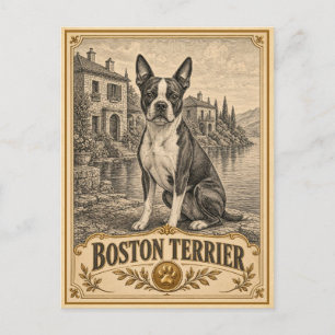 Carte Postale Boston Terrier, patrimoine canin vintage
