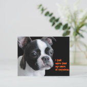 Carte Postale Boston Terrier : Plus que ma part de gentillesse (Debout devant)