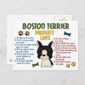 Carte Postale Boston Terrier Propriété Lois 4 (Devant / Derrière)