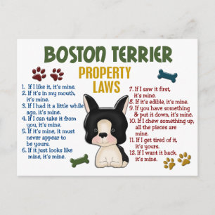 Carte Postale Boston Terrier Propriété Lois 4