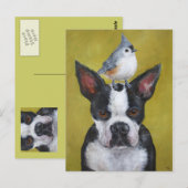 Carte postale Boston Terrier & titmouse (Devant / Derrière)