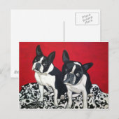 Carte Postale Boston Terriers (Devant / Derrière)