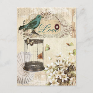 Carte Postale botanical art birdcage modern vintage frenbird bir