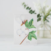 Carte postale Botanique Boll en coton Blanc (Debout devant)