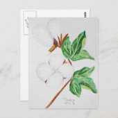 Carte postale Botanique Boll en coton Blanc (Devant / Derrière)