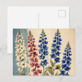 Carte Postale Botanique de Delphinium rustique (Devant / Derrière)