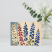 Carte Postale Botanique de Delphinium rustique (Debout devant)