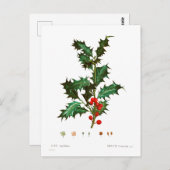 CARTE POSTALE BOTANIQUE DE SAINT COMMUN (Devant / Derrière)