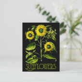 Carte postale botanique Dusky Sunflower 2 (Debout devant)