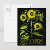 Carte postale botanique Dusky Sunflower 2 (Devant / Derrière)