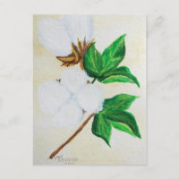 carte postale botanique en coton