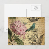 Carte Postale botanique français d'oiseau d'hortensia de (Devant / Derrière)