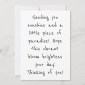 Carte postale botanique Oiseau de Paradis (Dos)