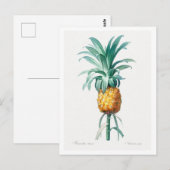 CARTE POSTALE BOTANIQUE REDOUTÉ "ANANAS" (Devant / Derrière)