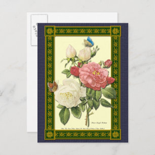Carte postale botanique Roses blanches et rouges