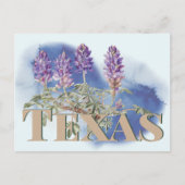 Carte Postale Botanique Texas Bluebonnet 2 (Devant)