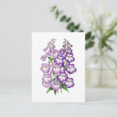 Carte postale botanique Vintage Penstemon (Debout devant)