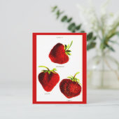 Carte postale - Botaniques-Fraises (Debout devant)