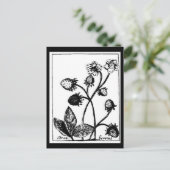 Carte postale - Botaniques-Fraises 3 (Debout devant)