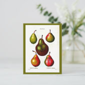 Carte postale-Botaniques-Pierre Joseph Redoute 11 (Debout devant)