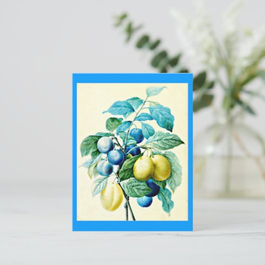 Carte postale-Botaniques-Pierre Joseph Redoute 21 (Debout devant)