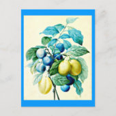 Carte postale-Botaniques-Pierre Joseph Redoute 21 (Devant)