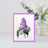 Carte postale - Botaniques-Pierre Joseph Redoute 8 (Debout devant)