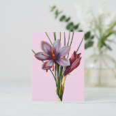 Carte Postale Botany : (Debout devant)