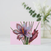 Carte Postale Botany : (Debout devant)