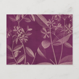 Carte Postale Botnie III