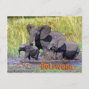 Carte Postale Botswana