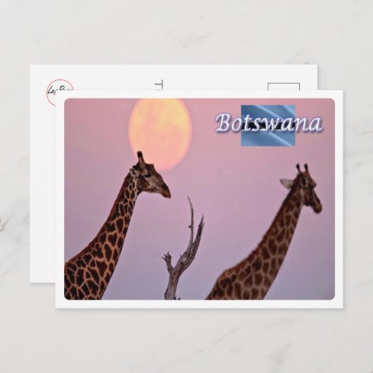 Carte Postale Botswana - (Devant / Derrière)