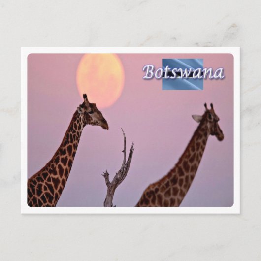 Carte Postale Botswana - (Devant)