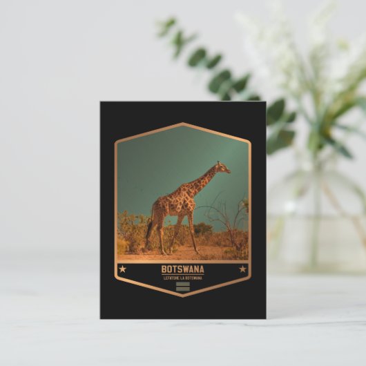 Carte Postale Botswana (Debout devant)