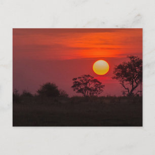 Carte Postale Botswana Okavango Delta Sunset