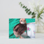 Carte Postale Bottes (Debout devant)