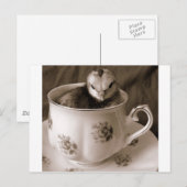 Carte Postale Bottes En Tasse De Thé (Devant / Derrière)