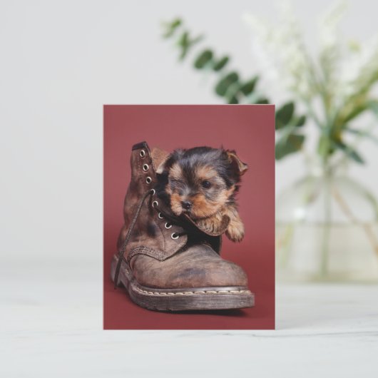 Carte Postale Bottes Yorkie (Debout devant)