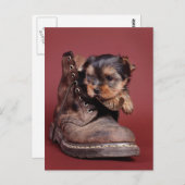 Carte Postale Bottes Yorkie (Devant / Derrière)