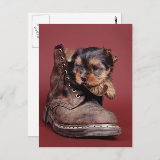 Carte Postale Bottes Yorkie (Devant / Derrière)