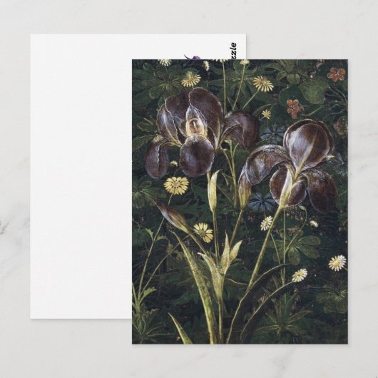 Carte Postale Botticelli Irises (Devant / Derrière)
