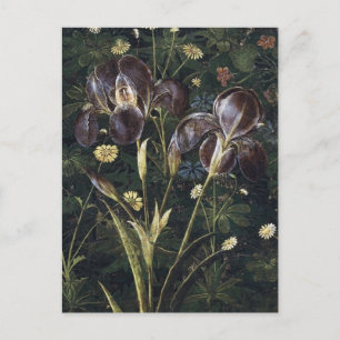 Carte Postale Botticelli Irises