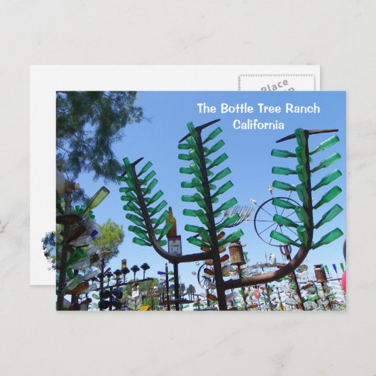 Carte postale Bottle Tree Ranch ! (Devant / Derrière)