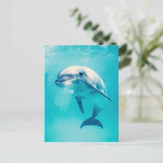 Carte Postale Bottlenosed Dolphin Underwater (Debout devant)